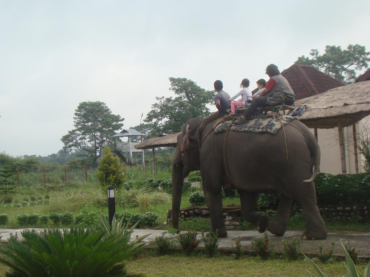 Musa Jungle Retreat Kumguri Exterior photo